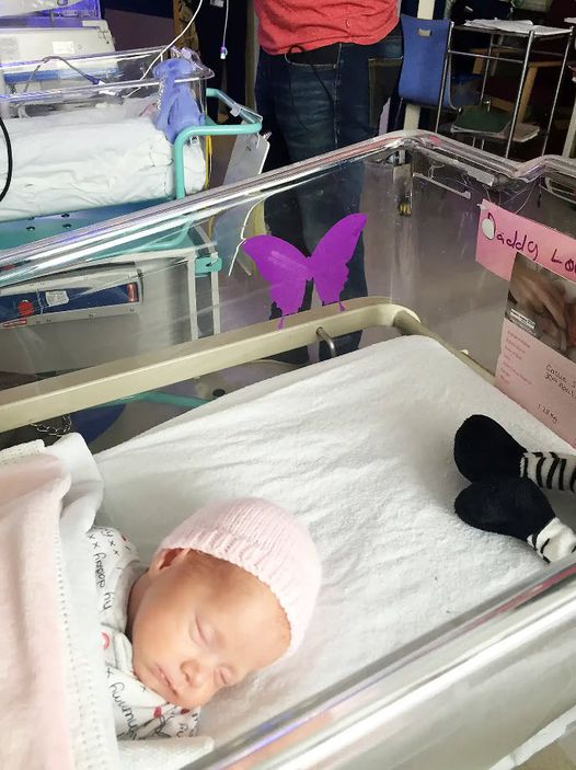 If you see a purple butterfly sticker near a newborn, you need to know what it means