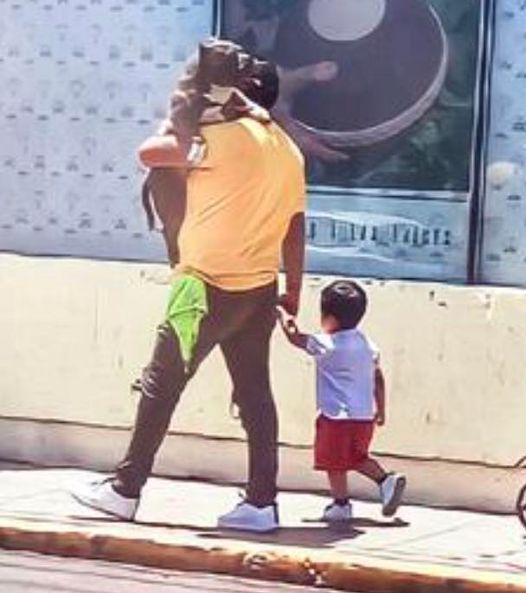 Father praised for choosing to carry his large dog instead his small son